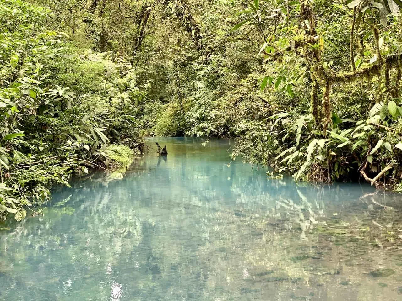 Blue River Costa River