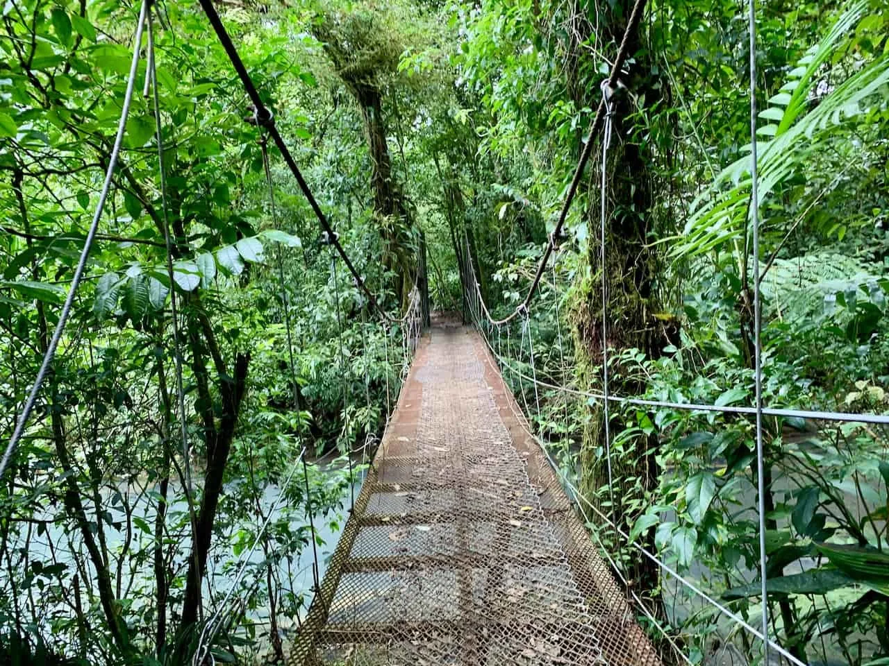 Celeste Suspension Bridge