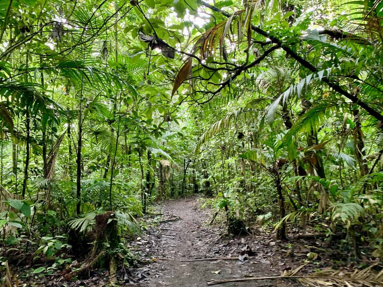 El Ceibo Trail