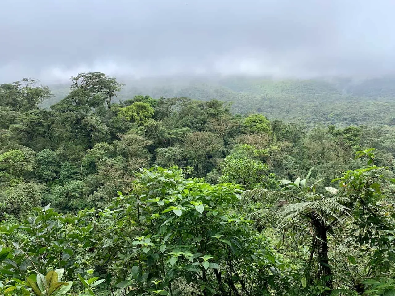 Mirador Tenorio Volcano National Park