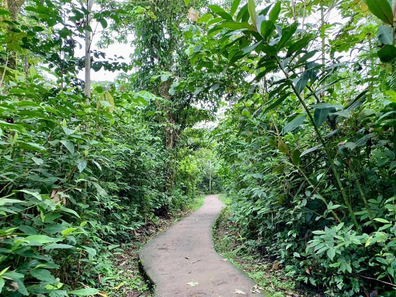 Rio Celeste Pathway