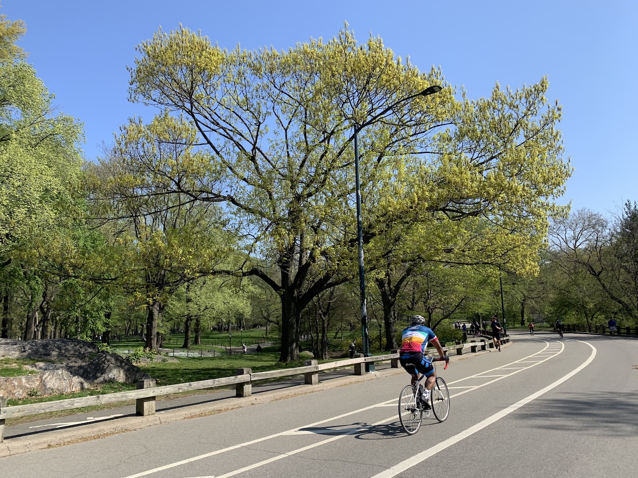 Central Park Bicycling