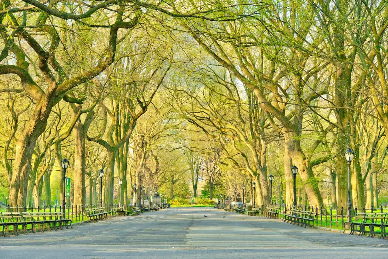 Top Things To Do in Central Park
