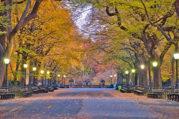 The Mall & Literary Walk of Central Park (Complete Guide, Map, & More)