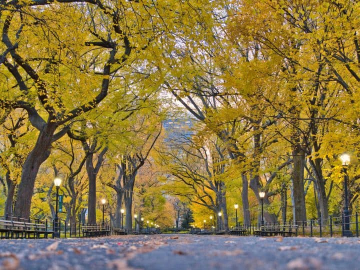 The Mall & Literary Walk of Central Park (Complete Guide, Map, & More)