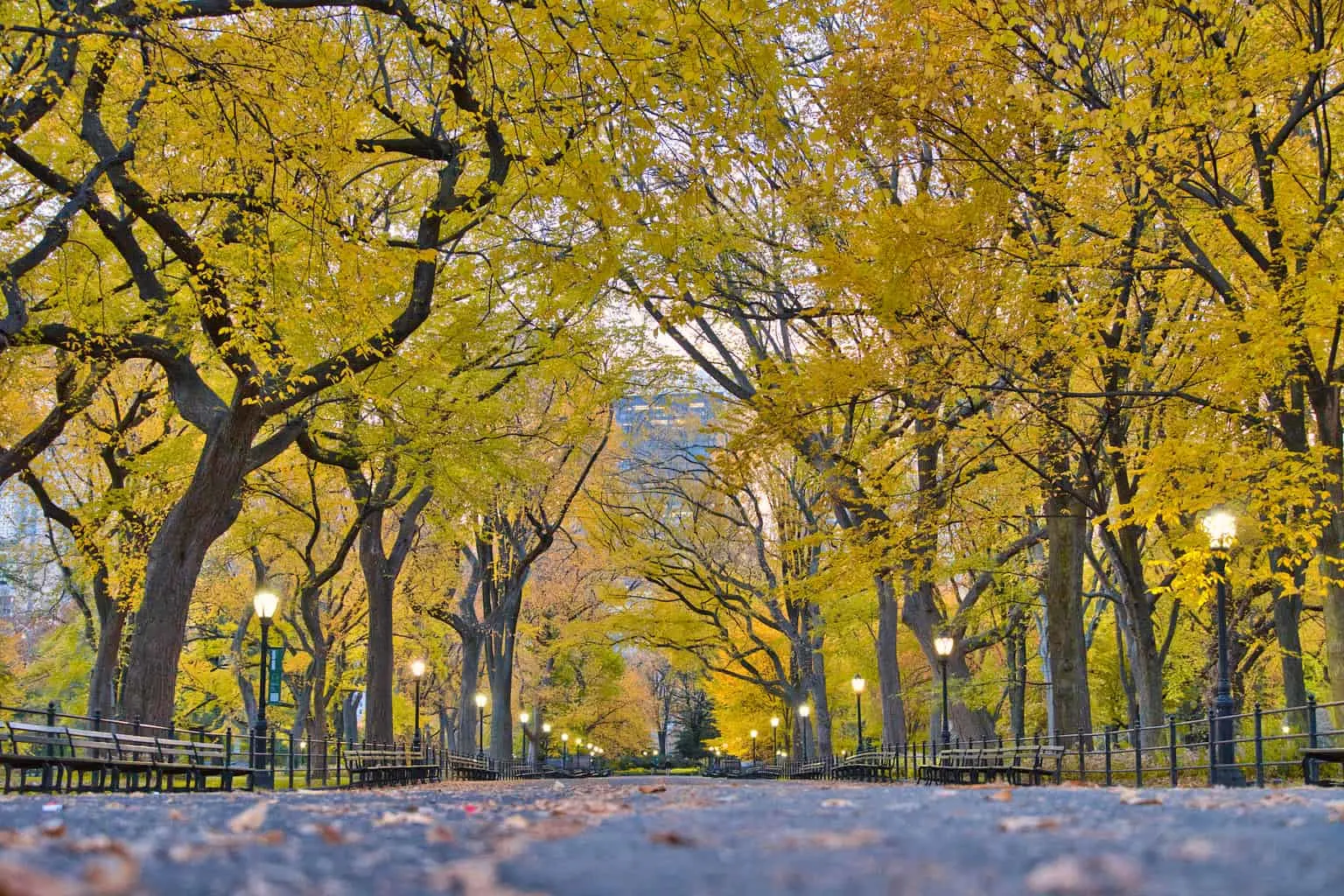 Central Park The Mall