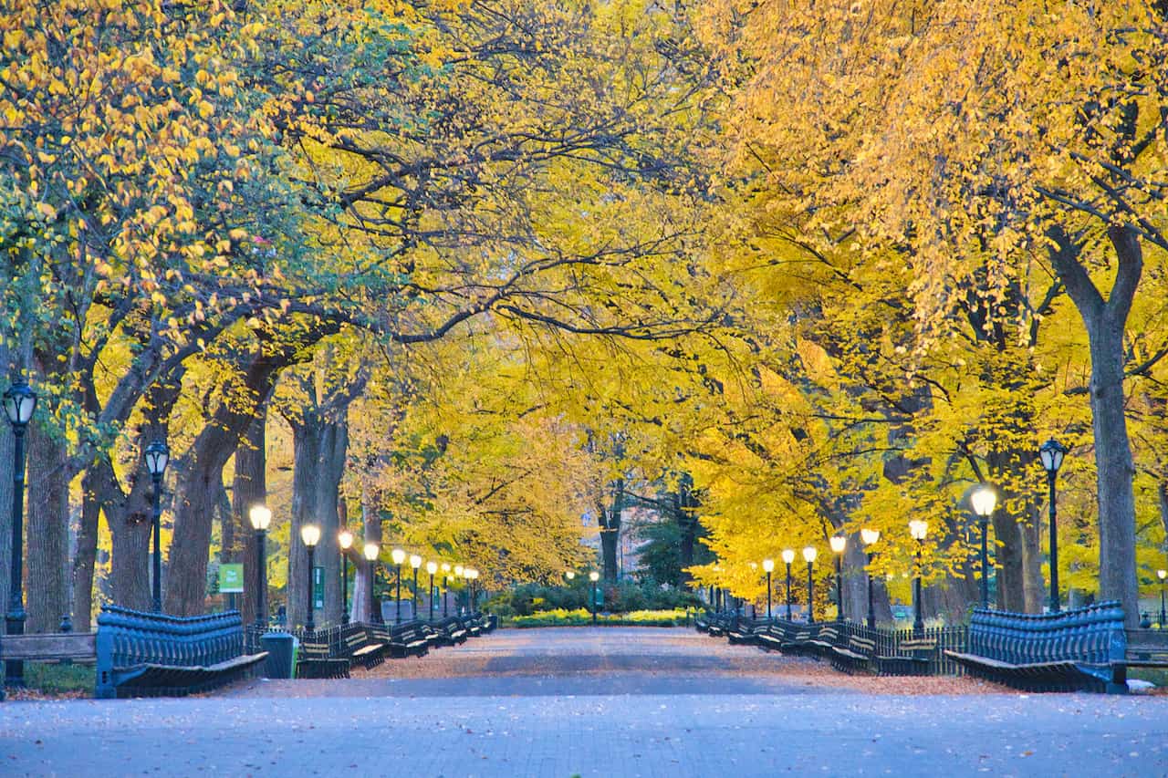 Literary Walk Central Park