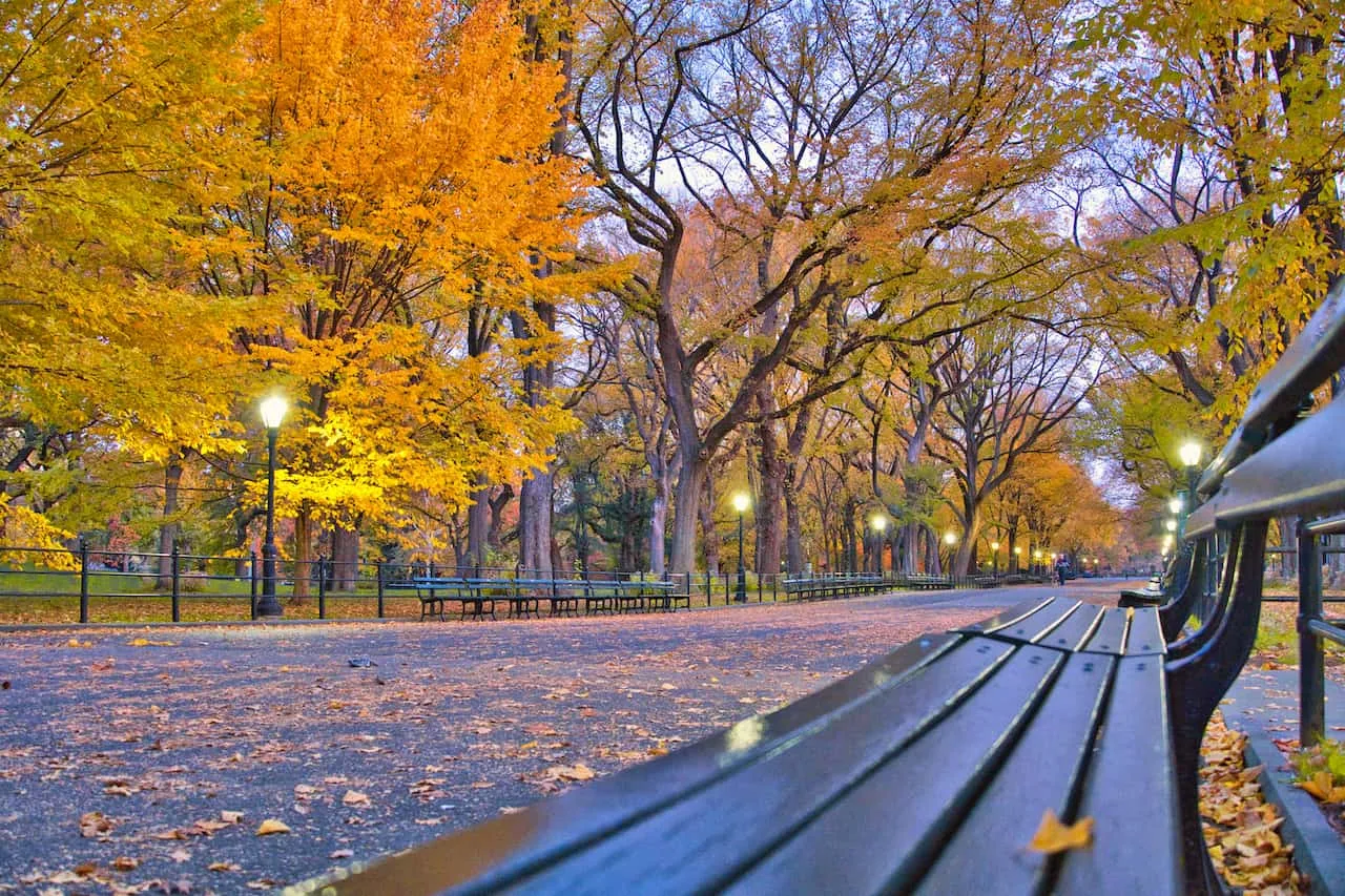 The Mall Central Park Benches