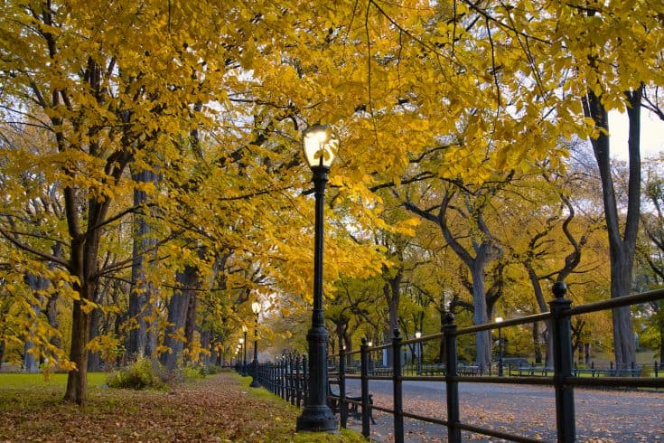 The Mall & Literary Walk of Central Park (Complete Guide, Map, & More)