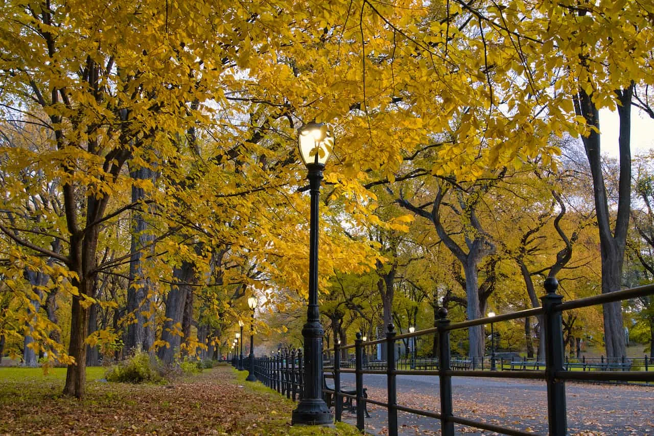 The Mall Central Park Lamps