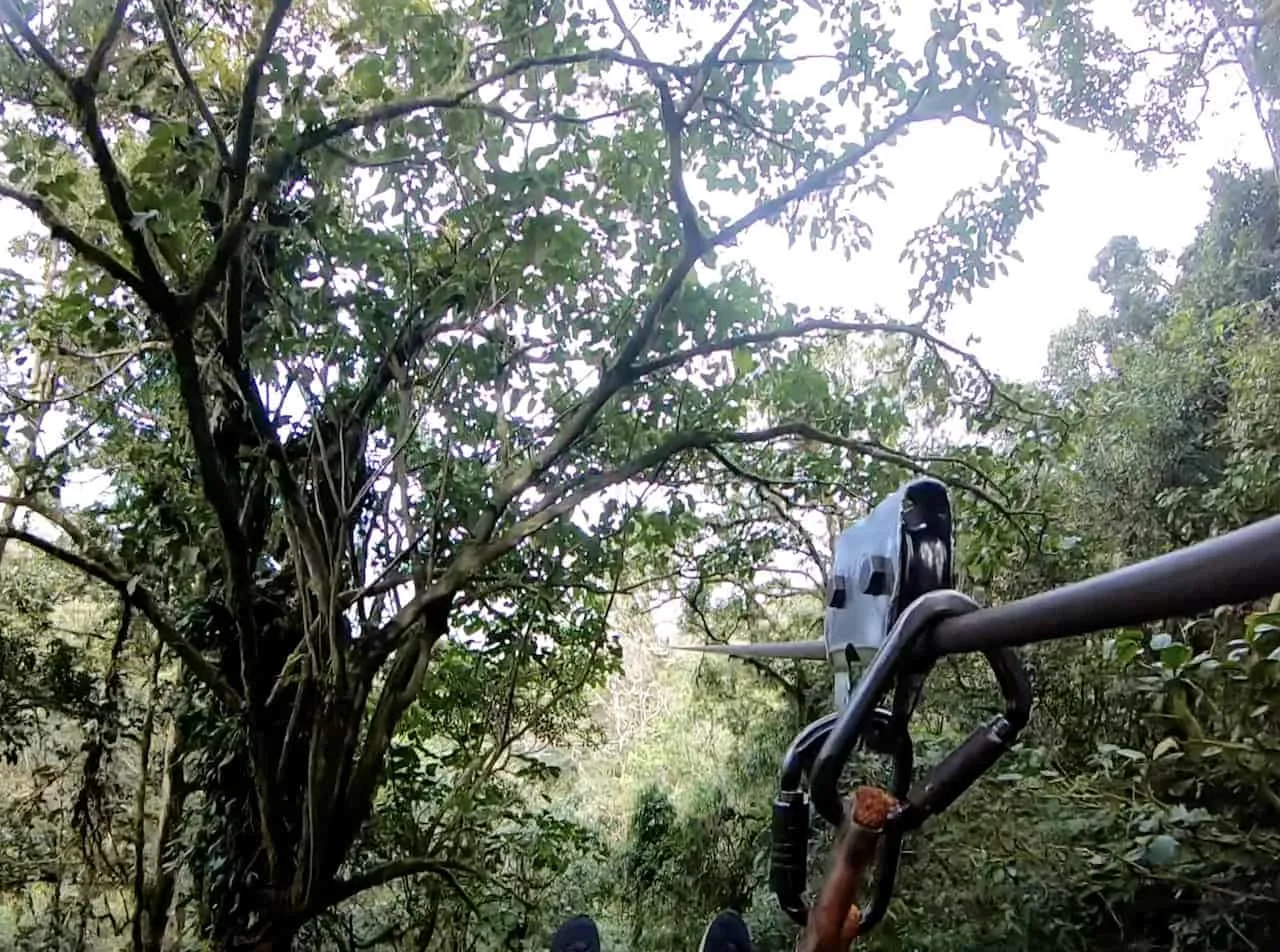 Costa Rica Ziplining Monteverde