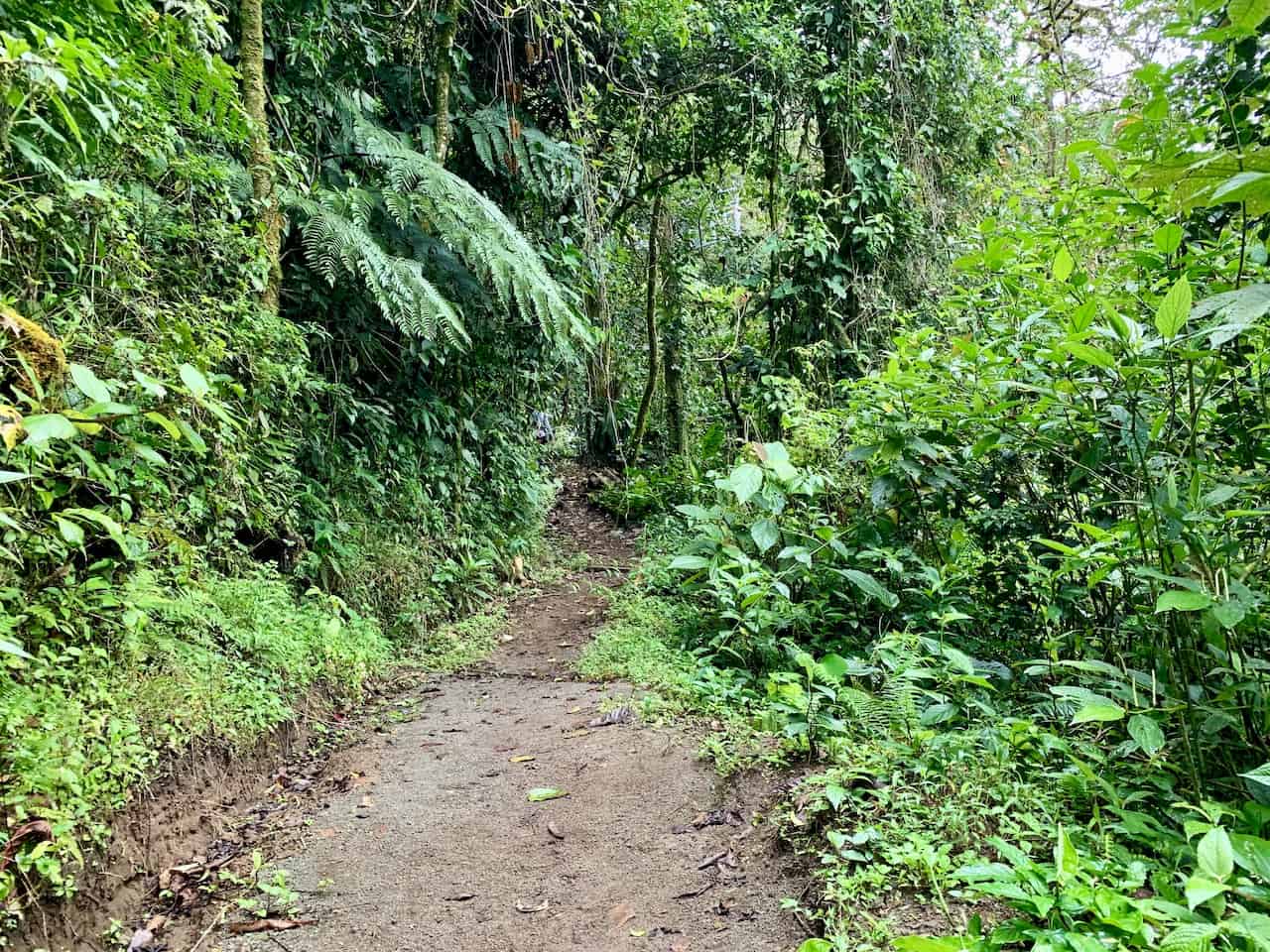 Monteverde Zip Line Trail