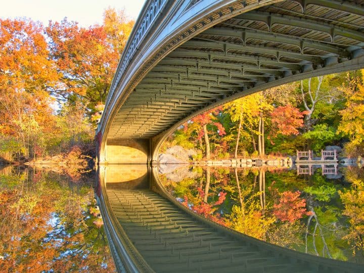 A Self-Guided Walking Tour Central Park by a LOCAL | Map + Itinerary
