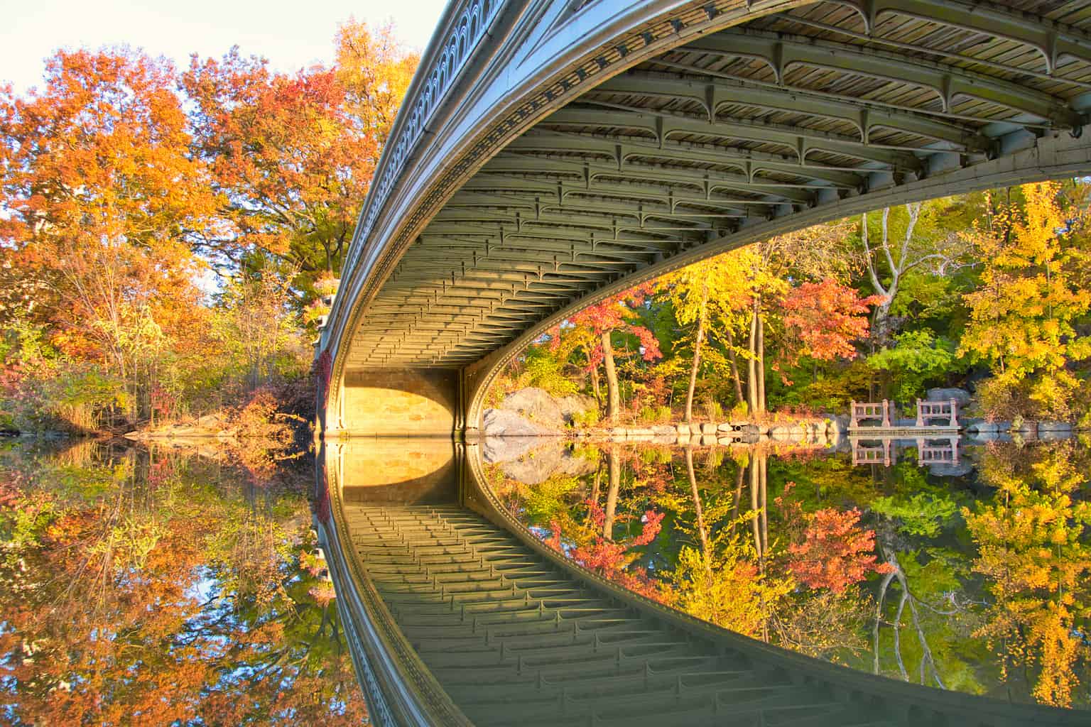 A Stroll Through Central Park in NYC