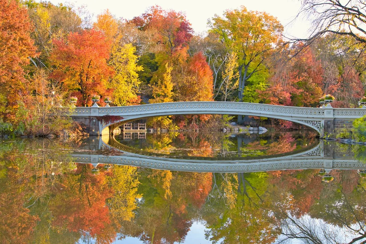 The Lake Central Park NYC