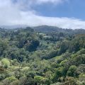 Ziplining Cloud Forest Costa Rica
