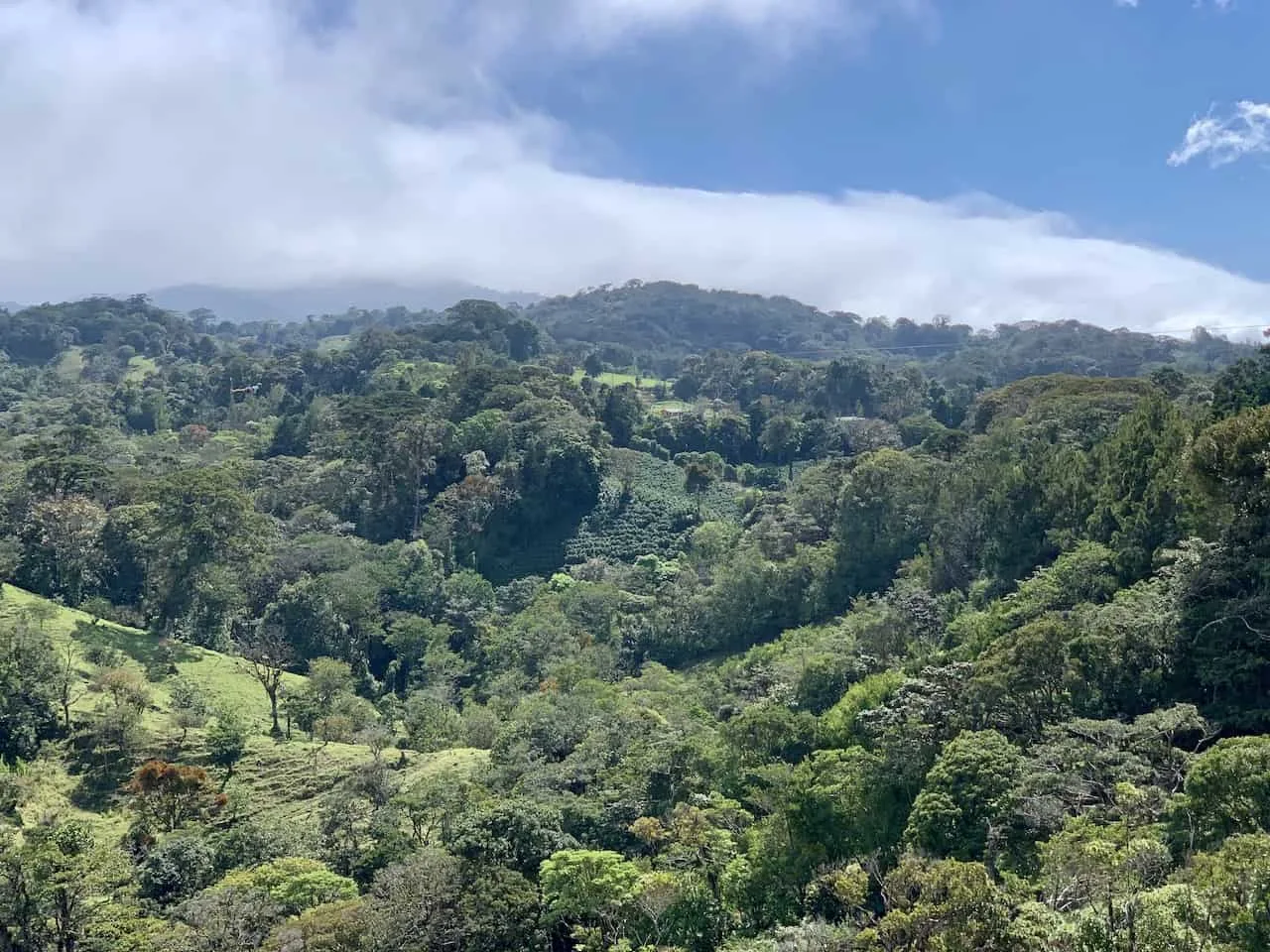 Ziplining Cloud Forest Costa Rica