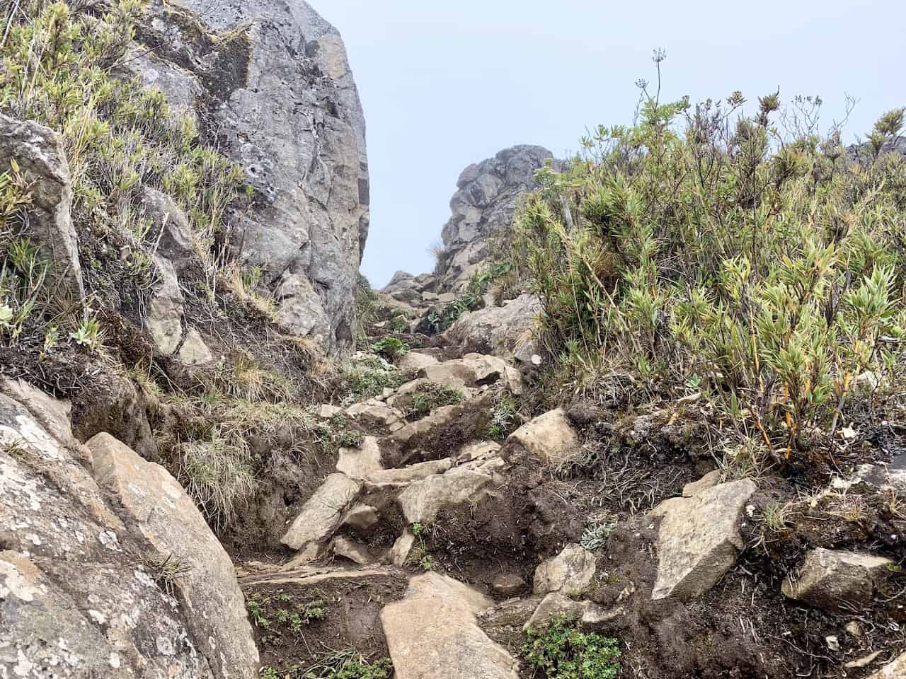 Chirripo Climb