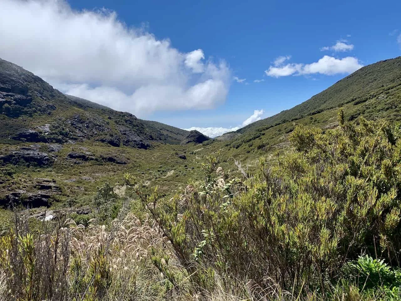 Chirripo National Park View