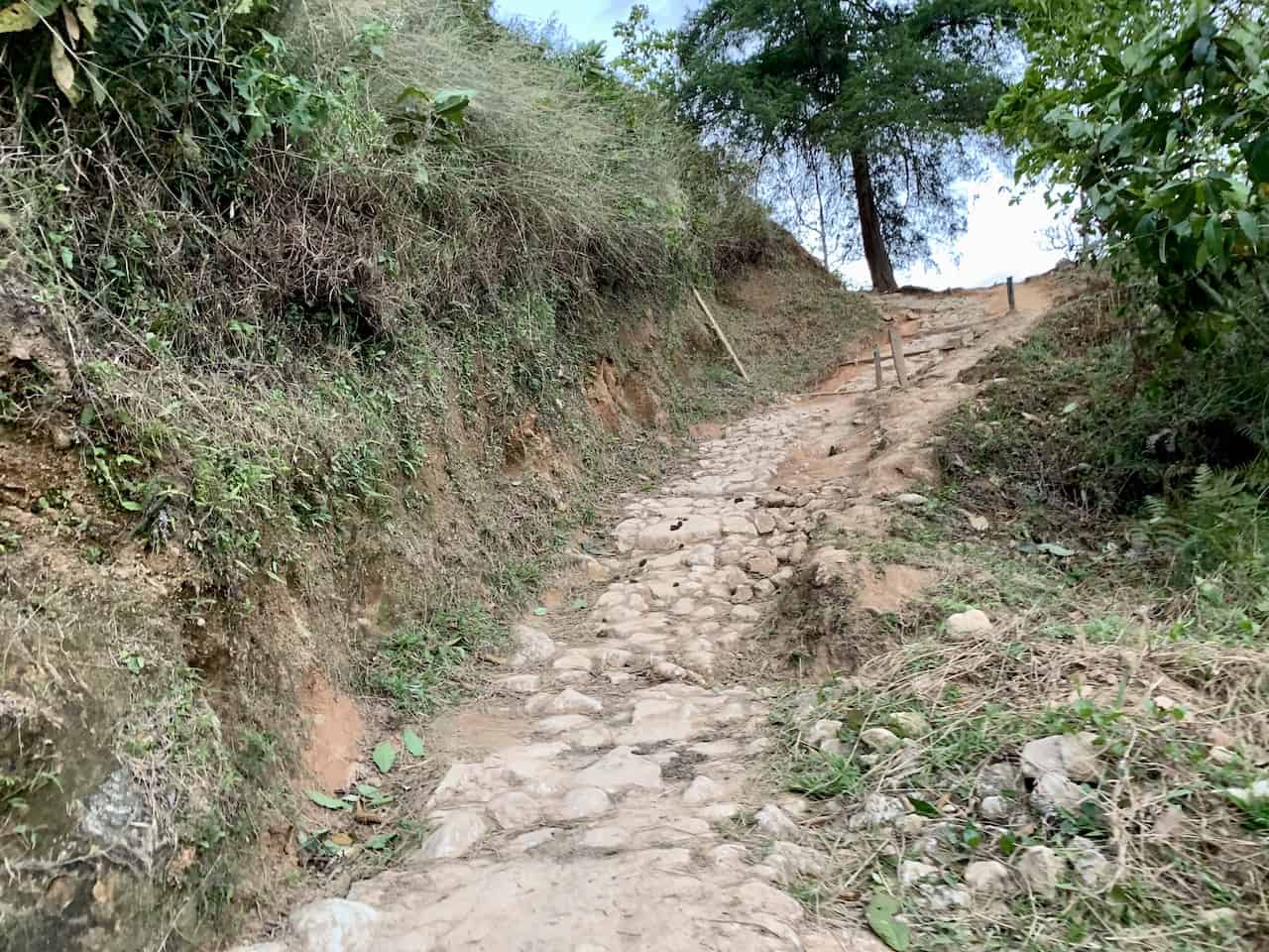Chirripo Pathway