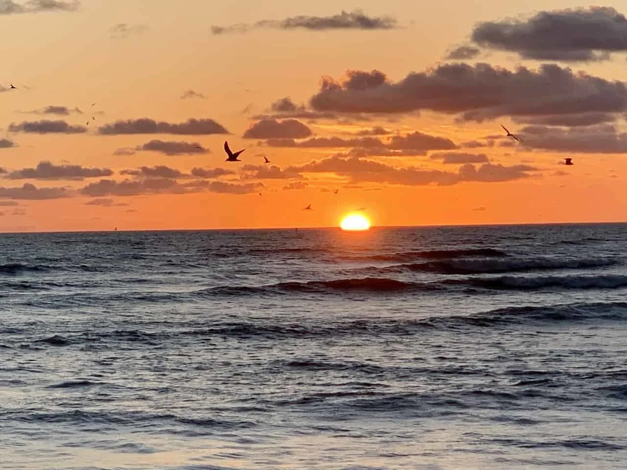 Corcovado National Park Sunset