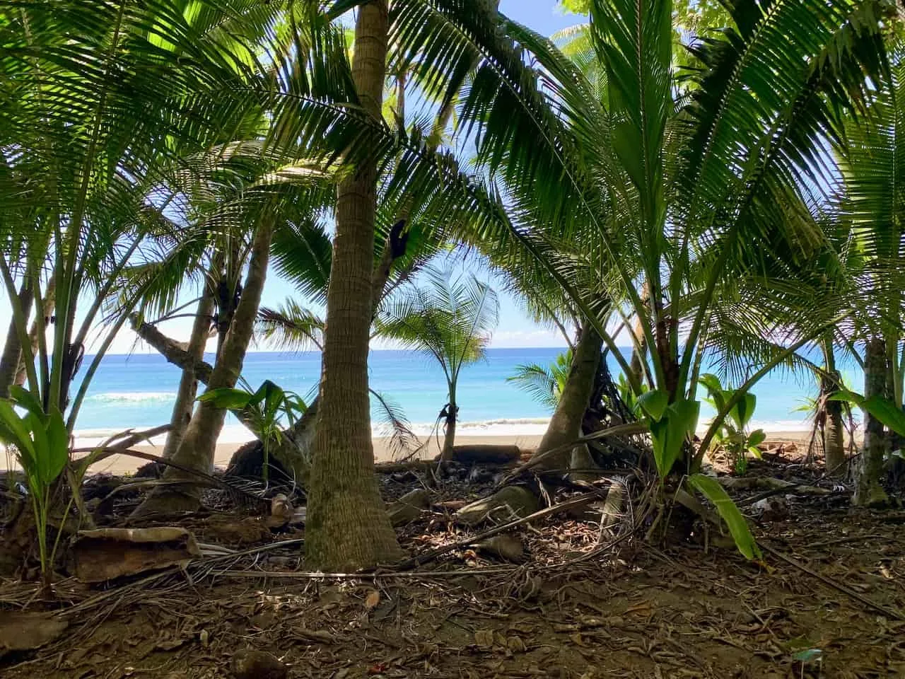 Corcovado National Park Trails