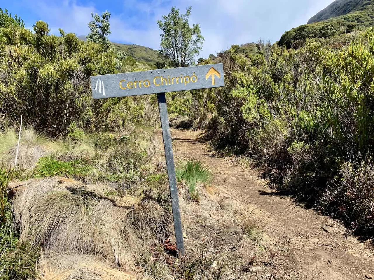 Hike to Cerro Chirripo