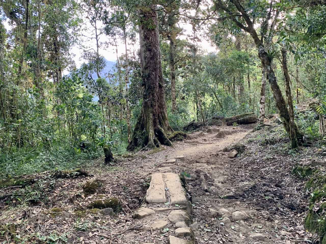 Hiking Path Chirripo