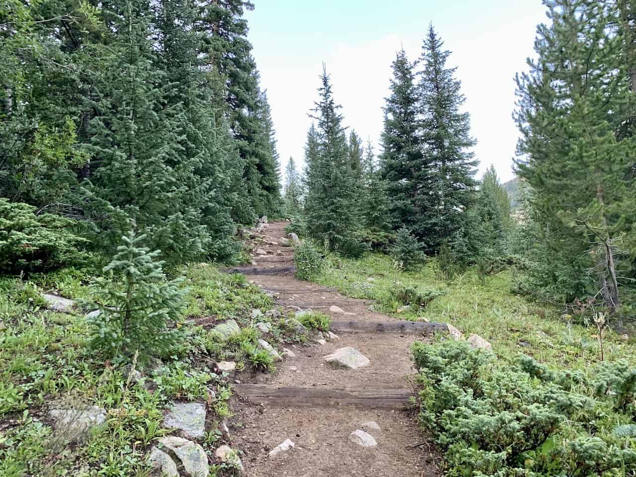 Huron Peak Forest Trail