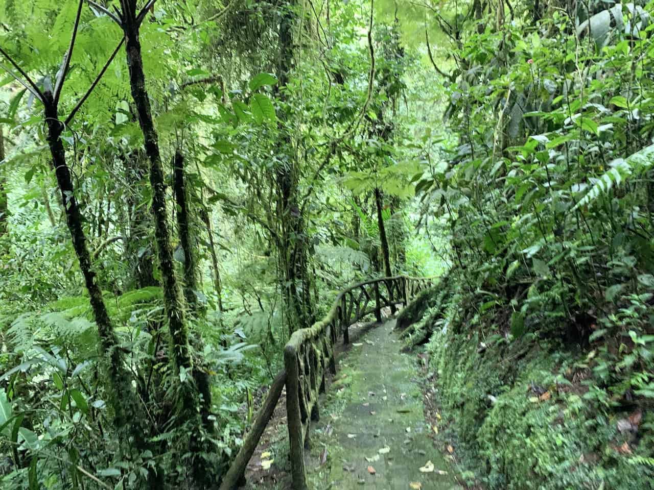 Laz Paz Waterfall Gardens Hiking Trail