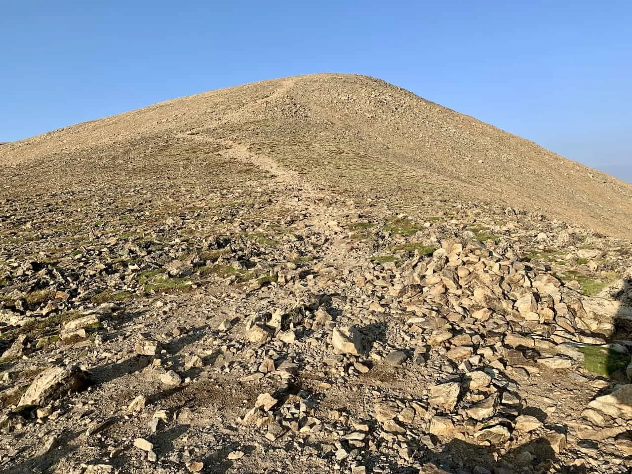 Mount Elbert Trail