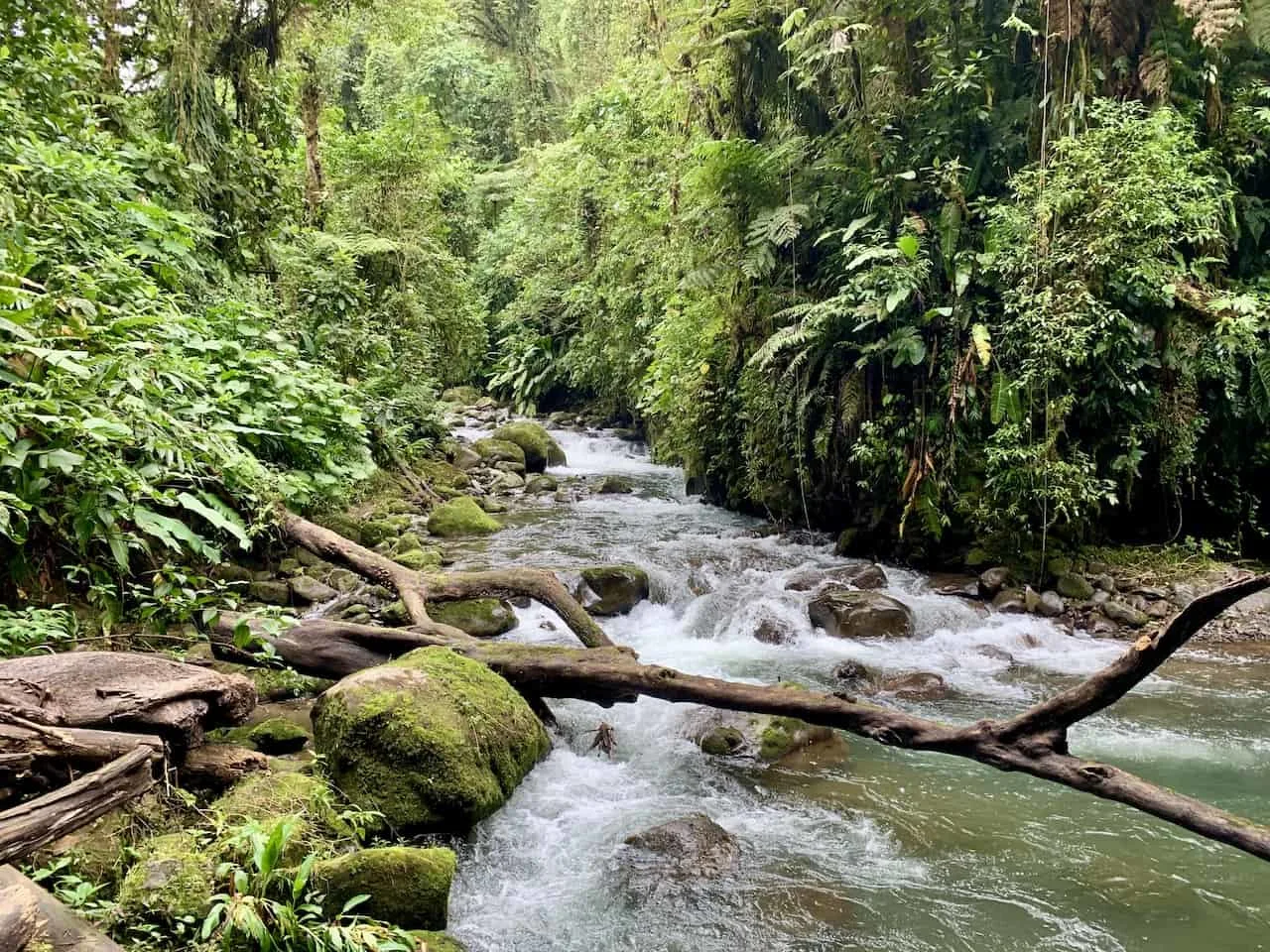 Rio La Paz and Fern Trail