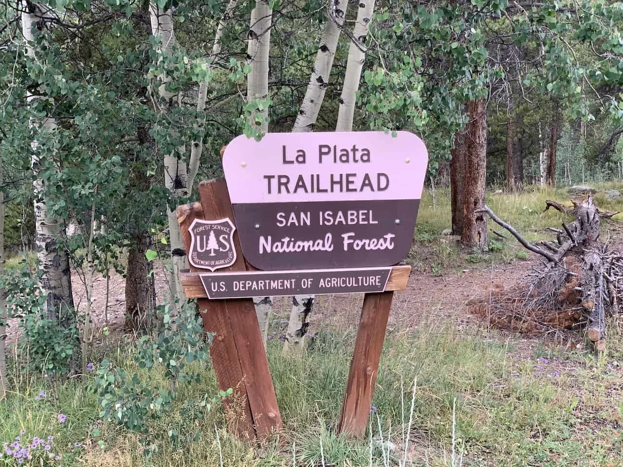 San Isabel National Forest
