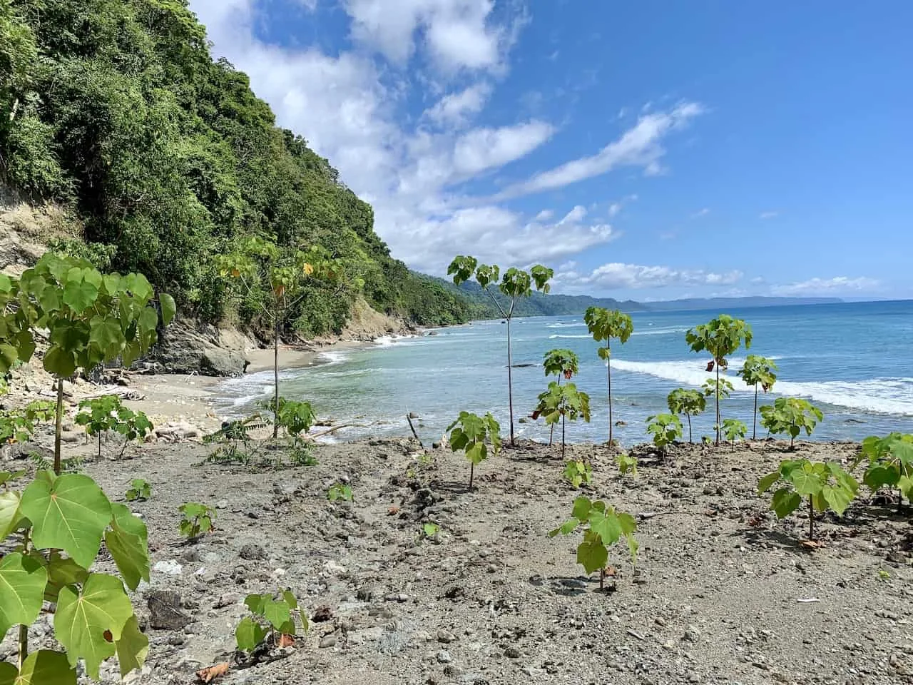 Shoreline Views Corcovado