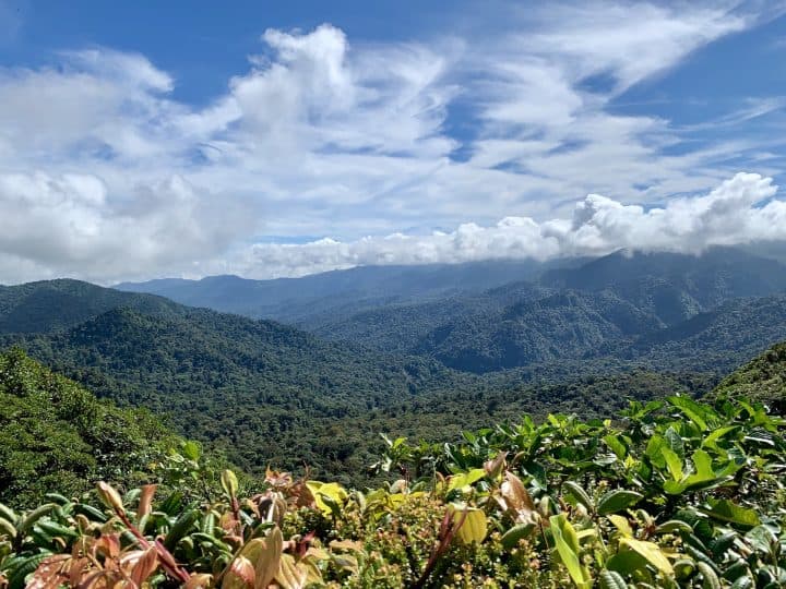 A Beautiful Costa Rica Itinerary 10 Days – Rainforests, Beaches, & Wildlife