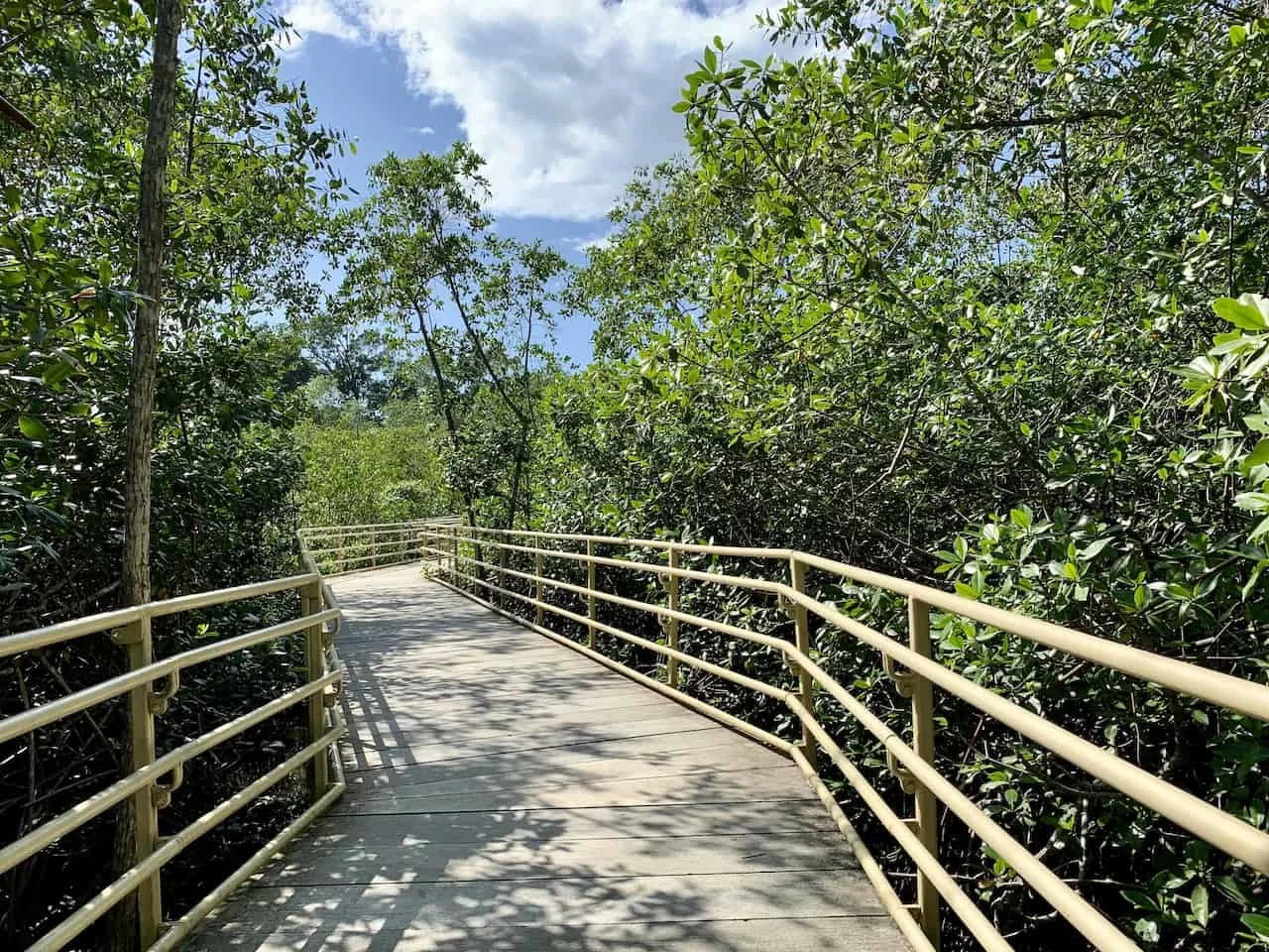 Manuel Antonio Hiking Path