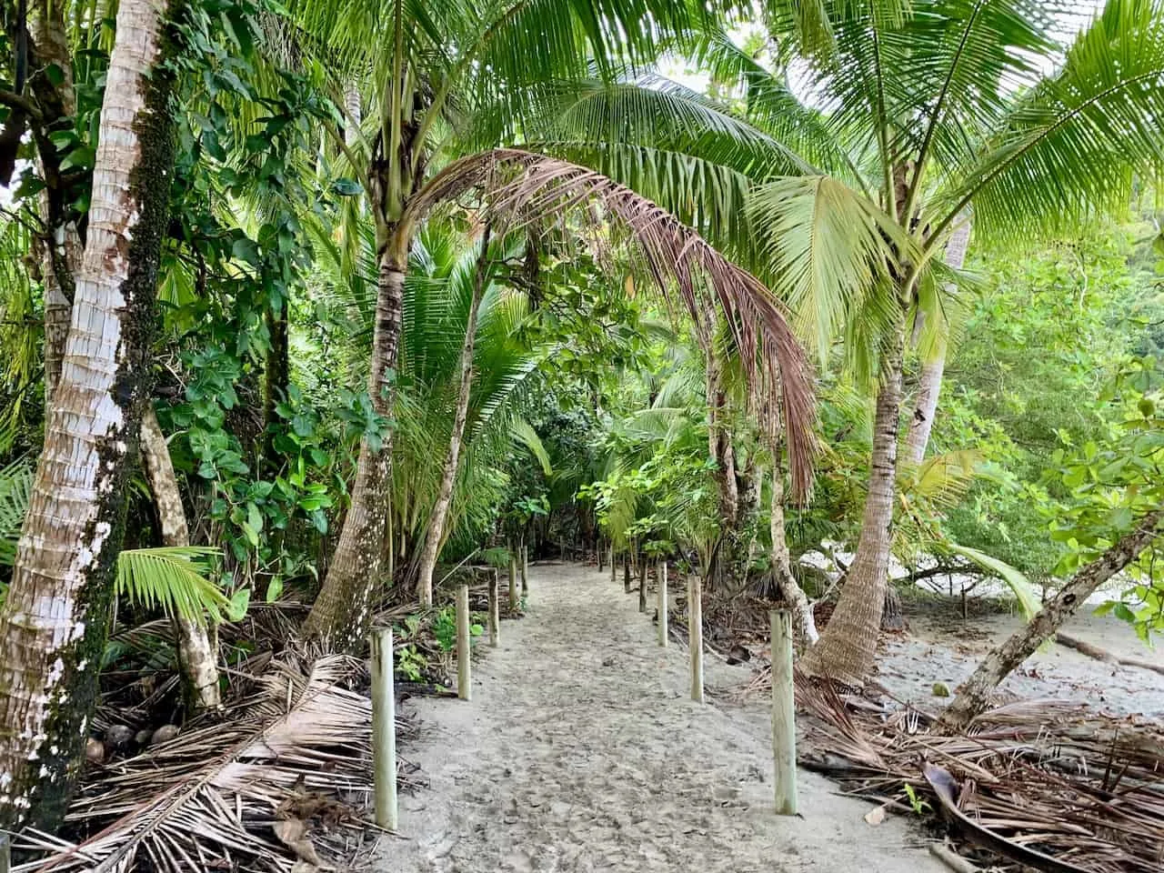 Manuel Antonio National Park Beach Path