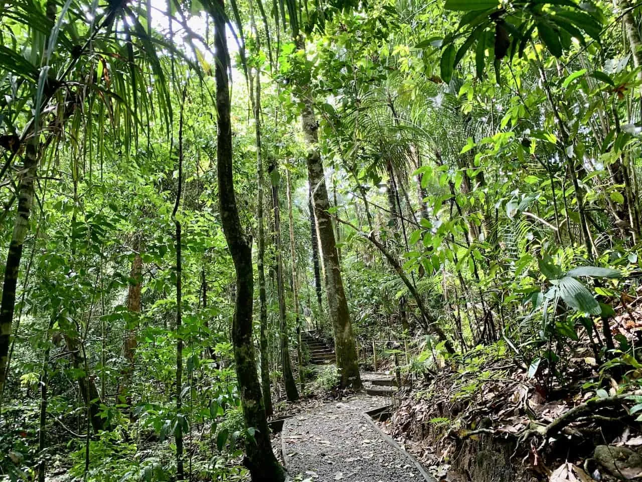 Manuel Antonio Things To Do