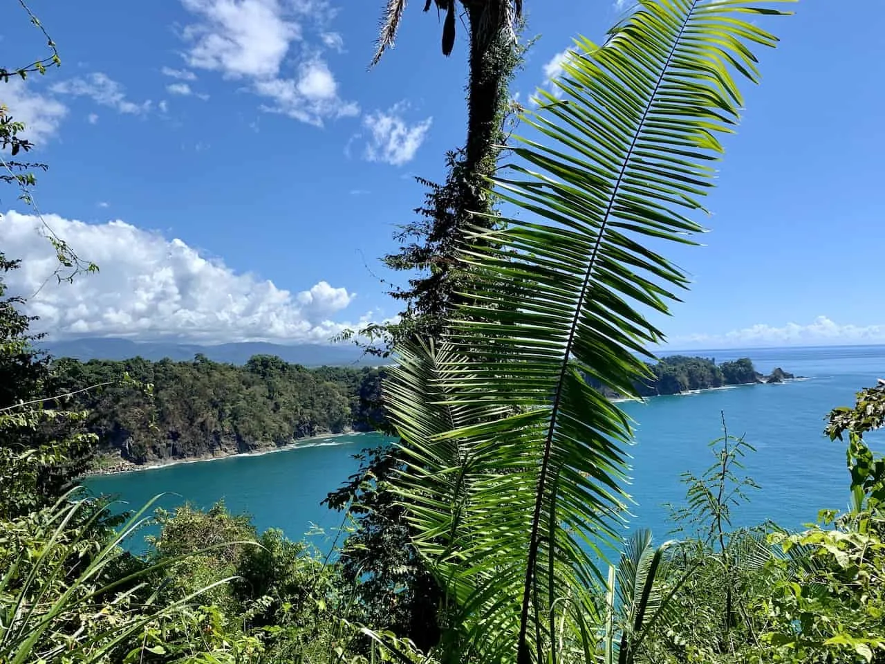 Miredores Trail View