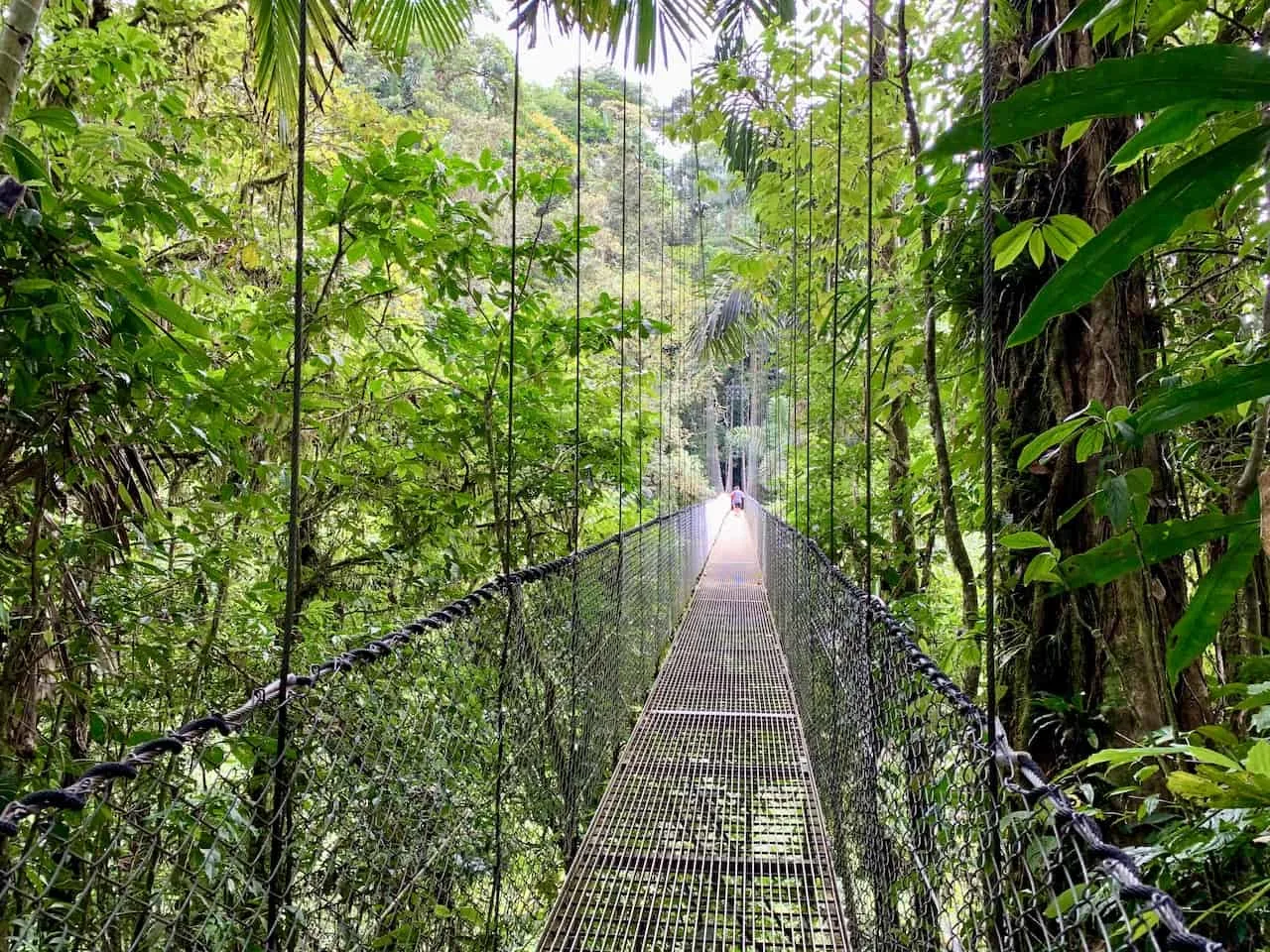 Mistico Arenal Hanging Bridges