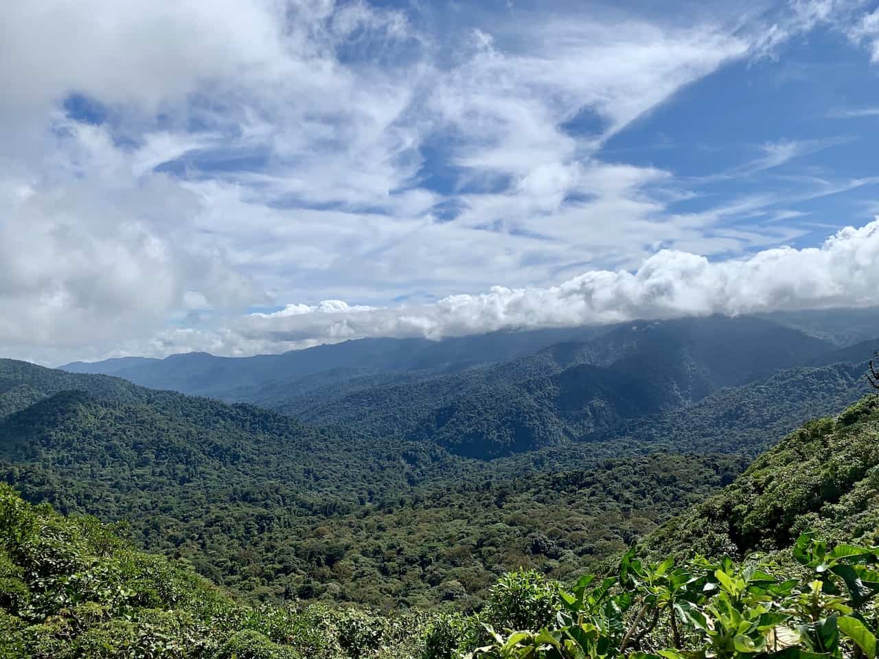 Monteverde Cloud Forest Views
