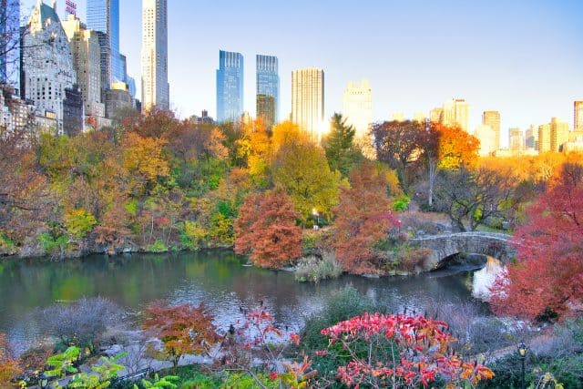 The 20 Best Views of Central Park | Where to Find the Top Spots | TripTins