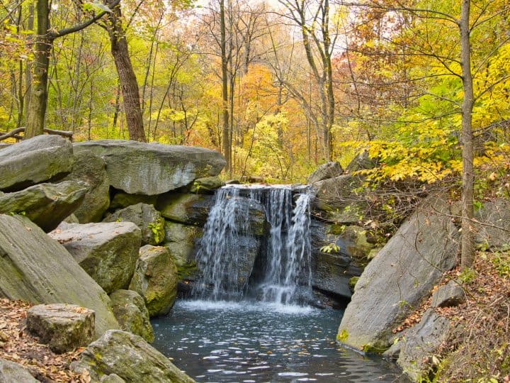 Exploring the Hidden Central Park Waterfalls | Where to Find Waterfalls in Central Park