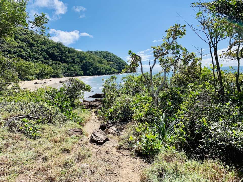 10 BEAUTIFUL Daintree Beaches (Cape Trib, Myall & More!) | TripTins