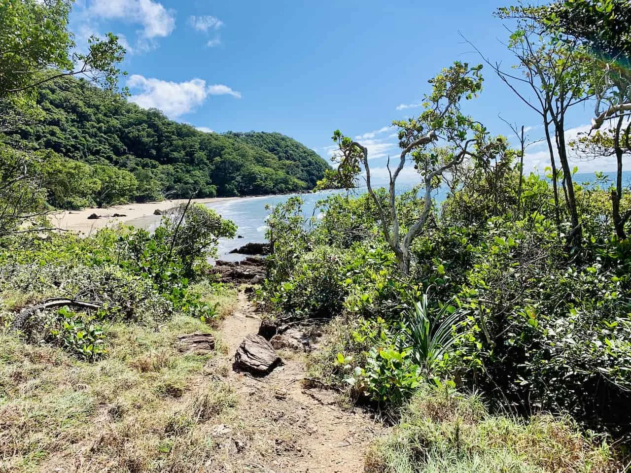 Cow Bay Daintree Beach