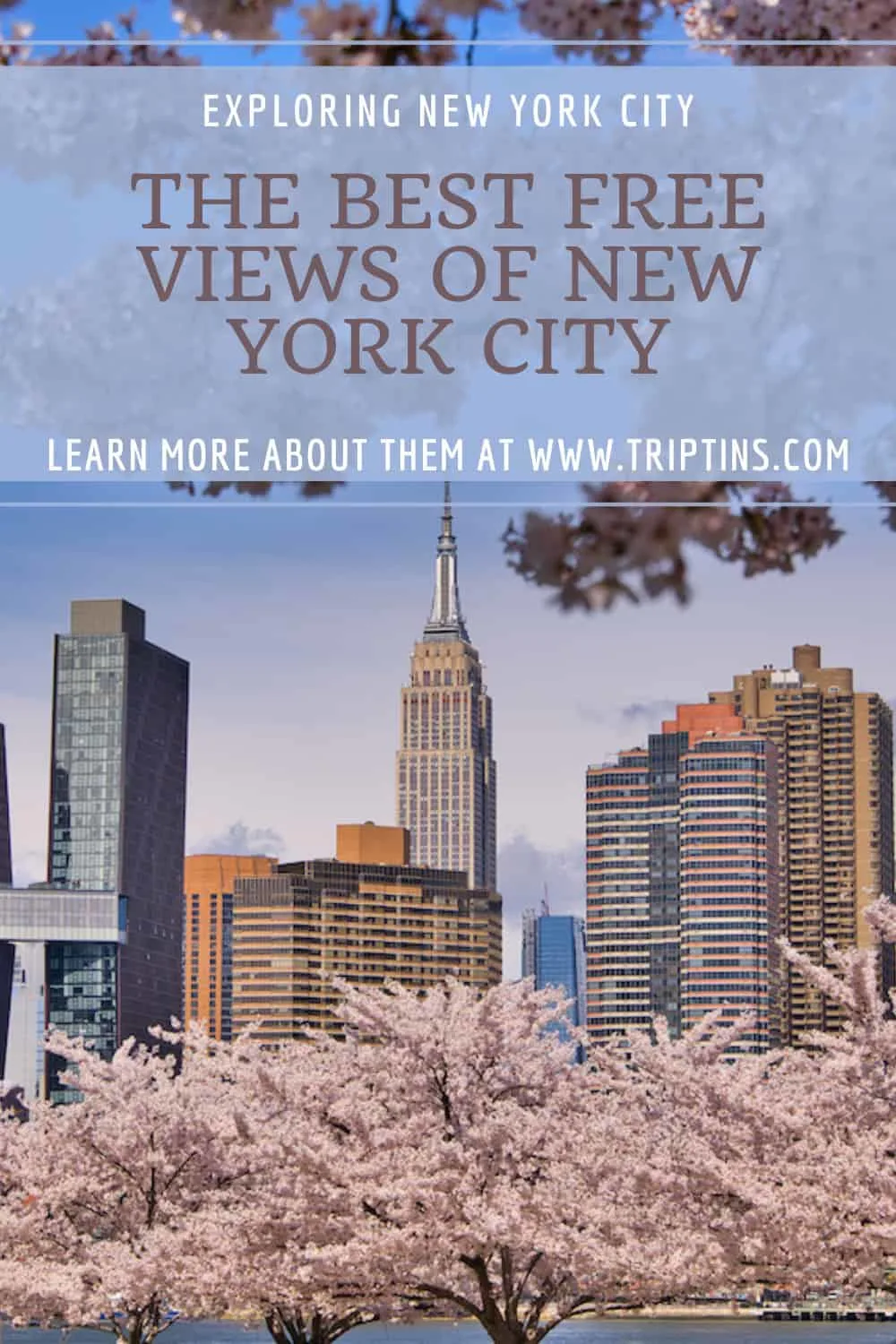 Free Views NYC