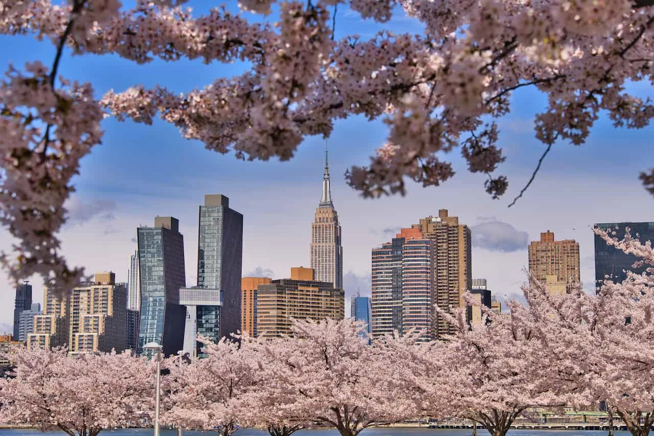 Best Places To See Cherry Blossoms In New York City - Glam of NYC