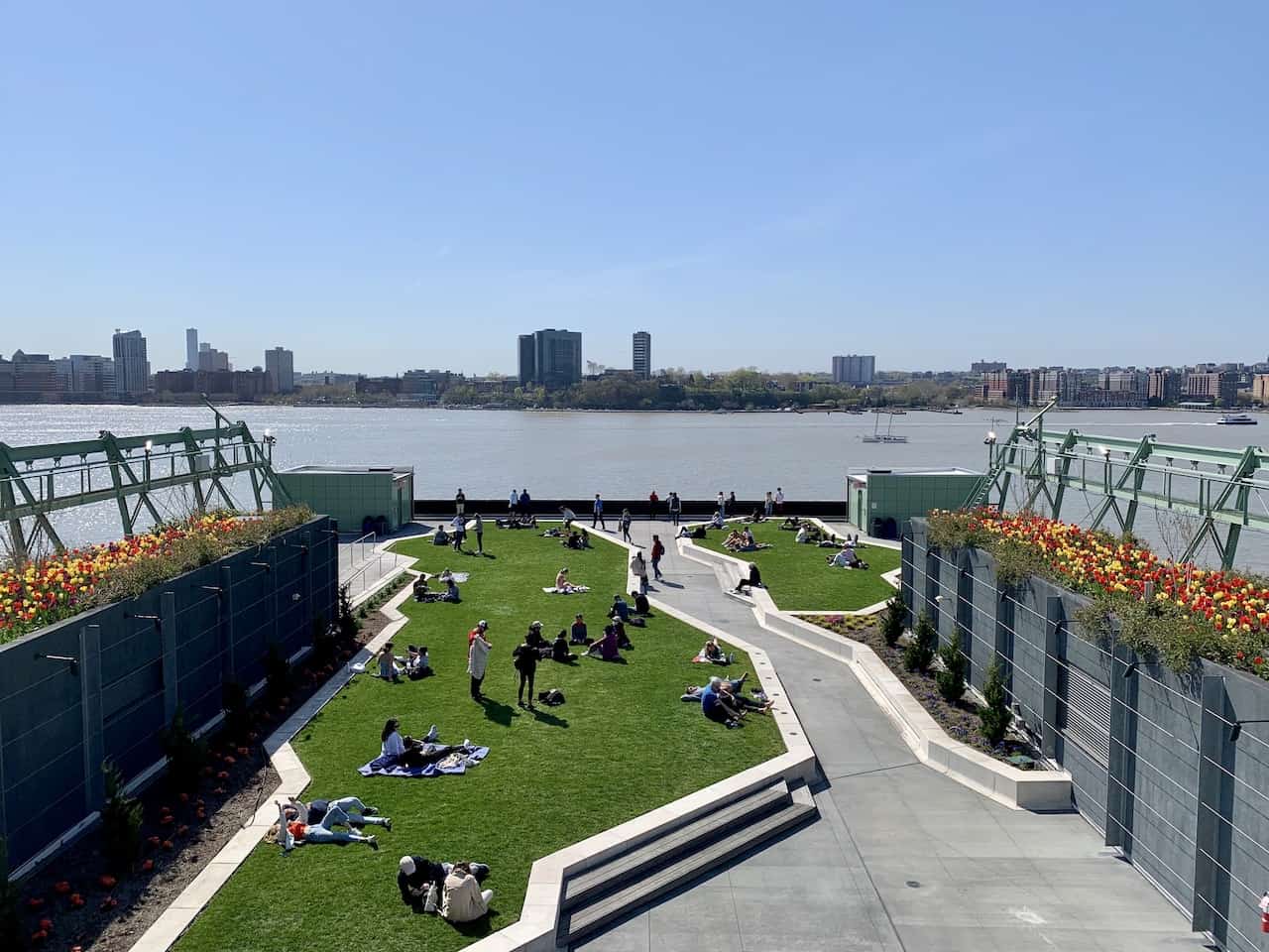 Pier 57 Rooftop Park Grassy Field