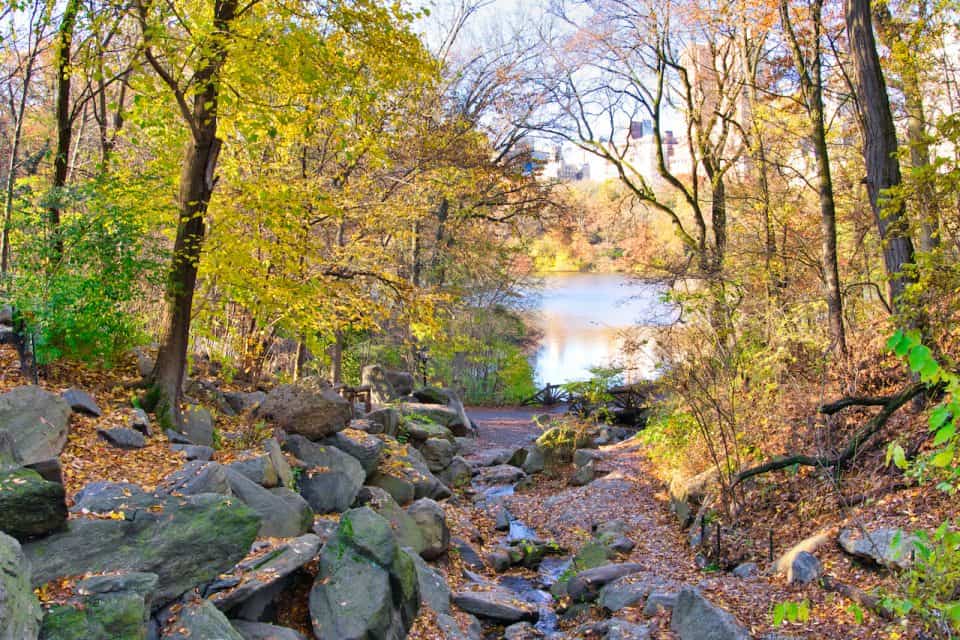 Exploring Central Park Waterfalls Where to Find Waterfalls in Central