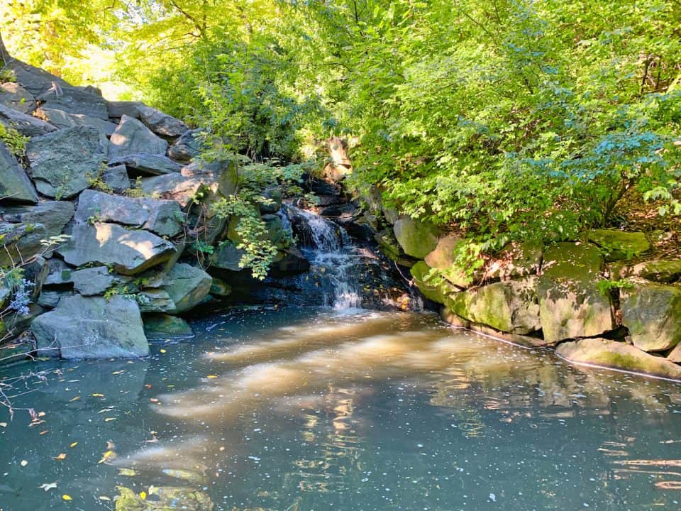 Exploring Central Park Waterfalls Where to Find Waterfalls in Central